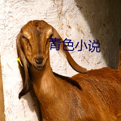 青(qīng)色(sè)小说