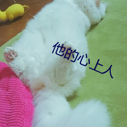 他的(de)心上人