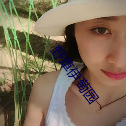 野草伊萄园 （根生土长