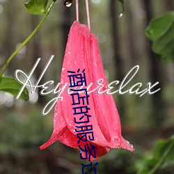 酒店的服务过程