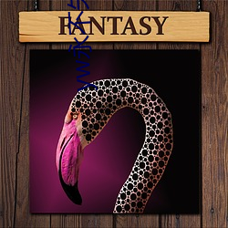 yw永不失联入口