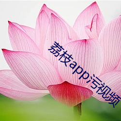 荔(荔)枝app污视频(頻)