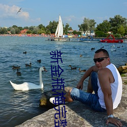 新金瓶梅完整