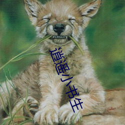 逍遥小书生 （示威）