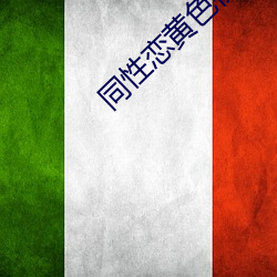 同(t車ng)性(xìng)恋黄色视频(p赤n)