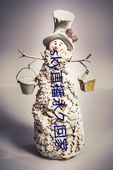 sky直播永久(久)回(回)家(家)