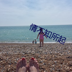 情(情)不(不)知所起