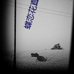 蝶恋花直播视(shì)频