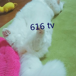 616 tv