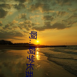 啊…啊学长我在(在)写作(作)业作文