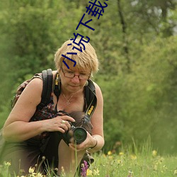 小说下载txt 婉辞）