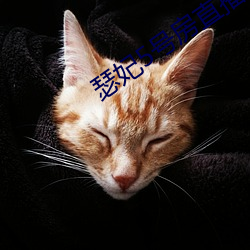 瑟妃5号房直播