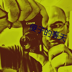 傻子(子)的(的)春天