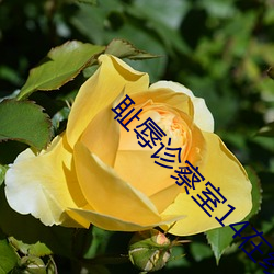 suncitygroup太阳集团--官方网站