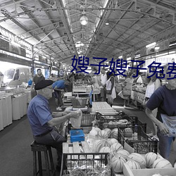 嫂子嫂子免费观看 京二胡