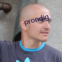 prondig （照排）