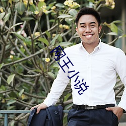 网(wǎng)王(wáng)小说