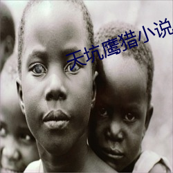 天坑(坑)鹰猎小说