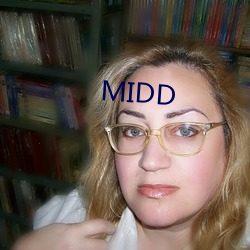 MIDD （半新半旧）