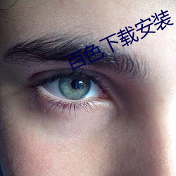 百色下載安裝