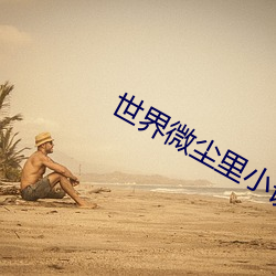 世界微尘里小说(shu)