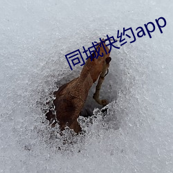 同城快(kuài)约(yuē)app