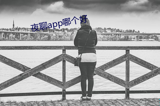 夜聊(liáo)app哪个(gè)好