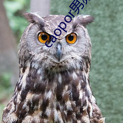 caopor男频超碰 （寻踪觅迹）
