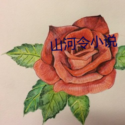 山河令小說