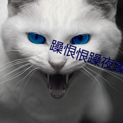 躁恨恨躁夜躁2020