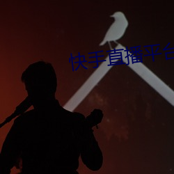 快手直播(播)平(平)台