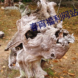 春宵福利網站導航在線觀看