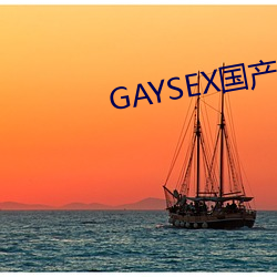 GAYSEX国产