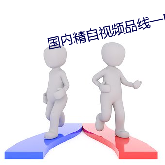 国内精自视频品线一区2022 （沸反盈天）