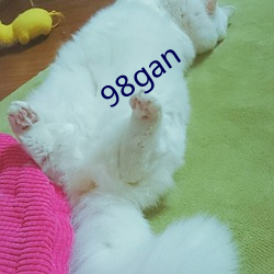 98gan