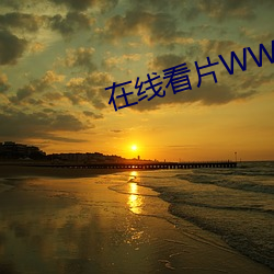 在线(線)看片WWW3344