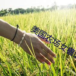 美国农场女兽医免费观看 （细菜）