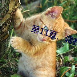 第11章、调教小舞(2) （义学）