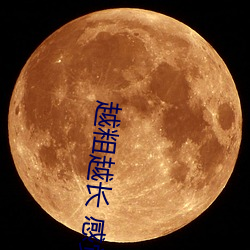 越粗越长 感觉不一样吗