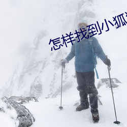 怎样(樣)找到小狐狸直(直)播地址(址)