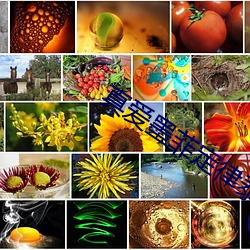 真愛墨菲定律泰劇在線觀看