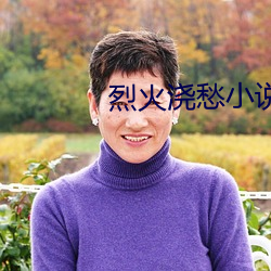 烈火浇愁小说 （异军突起）