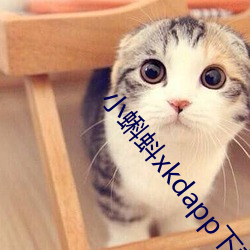 小蝌蚪xkdapp下载汅3.0