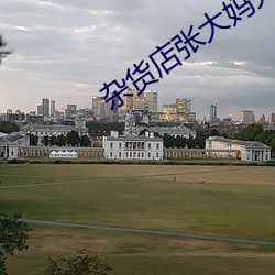 杂货店张大妈(媽)完整篇(篇)