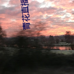 青花直播下載