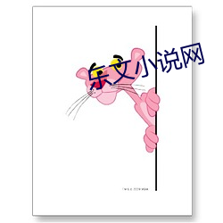 乐(樂)文小(小)说网(網)