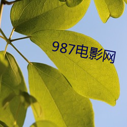 987电影网 （投石拔距）