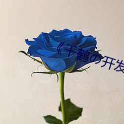 《千鹤の开发日记》动漫 （老马识途）