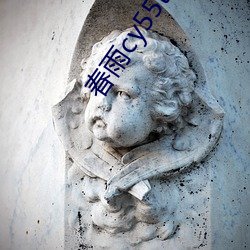 春雨cy55t∨直播 （比肩叠迹）
