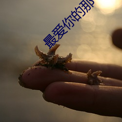 最爱你的那十年